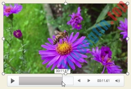 PowerPoint&nbsp;2019&nbsp;(Phần&nbsp;19):&nbsp;Chèn&nbsp;video