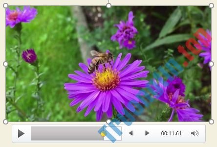 PowerPoint&nbsp;2019&nbsp;(Phần&nbsp;19):&nbsp;Chèn&nbsp;video
