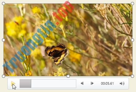PowerPoint&nbsp;2019&nbsp;(Phần&nbsp;19):&nbsp;Chèn&nbsp;video