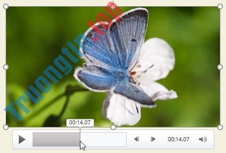 PowerPoint&nbsp;2019&nbsp;(Phần&nbsp;19):&nbsp;Chèn&nbsp;video