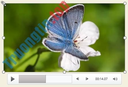 PowerPoint&nbsp;2019&nbsp;(Phần&nbsp;19):&nbsp;Chèn&nbsp;video
