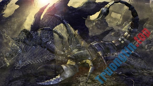 Hình&nbsp;nền&nbsp;siêu&nbsp;đáng&nbsp;yêu&nbsp;về&nbsp;cung:&nbsp;Bọ&nbsp;Cạp,&nbsp;Thần&nbsp;Nông,&nbsp;Thiên&nbsp;Yết,&nbsp;Thiên&nbsp;Hạt