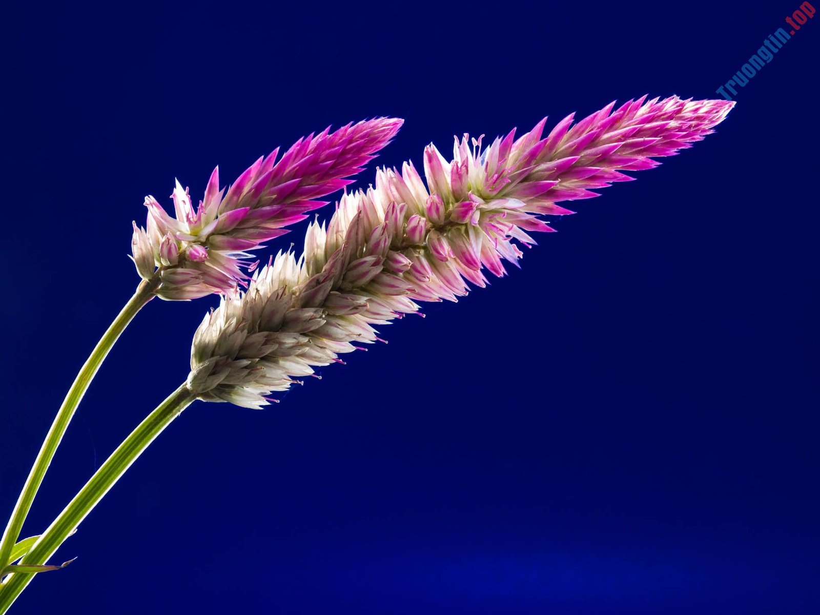 45&nbsp;hình&nbsp;nền&nbsp;phong&nbsp;cảnh&nbsp;tuyệt&nbsp;đẹp,&nbsp;độ&nbsp;phân&nbsp;giải&nbsp;cao