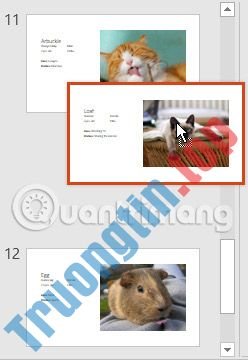 Thông&nbsp;tin&nbsp;cơ&nbsp;bản&nbsp;về&nbsp;slide&nbsp;trong&nbsp;PowerPoint&nbsp;2016