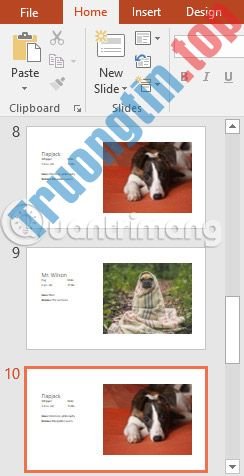 Thông&nbsp;tin&nbsp;cơ&nbsp;bản&nbsp;về&nbsp;slide&nbsp;trong&nbsp;PowerPoint&nbsp;2016
