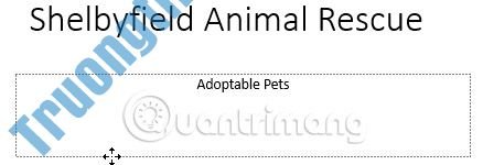 Thông&nbsp;tin&nbsp;cơ&nbsp;bản&nbsp;về&nbsp;slide&nbsp;trong&nbsp;PowerPoint&nbsp;2016