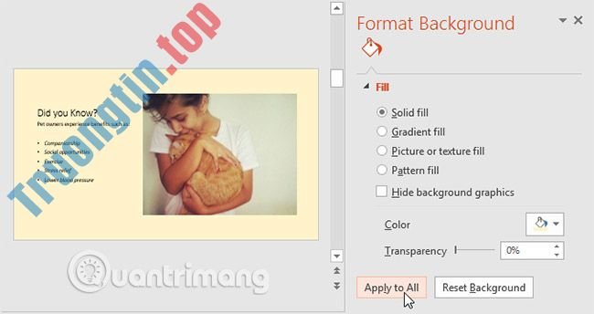 Thông&nbsp;tin&nbsp;cơ&nbsp;bản&nbsp;về&nbsp;slide&nbsp;trong&nbsp;PowerPoint&nbsp;2016