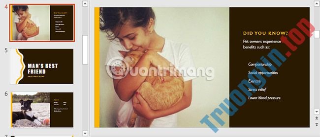 Thông&nbsp;tin&nbsp;cơ&nbsp;bản&nbsp;về&nbsp;slide&nbsp;trong&nbsp;PowerPoint&nbsp;2016