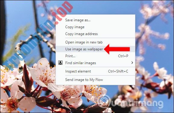 Cách&nbsp;đổi&nbsp;hình&nbsp;nền&nbsp;trên&nbsp;trình&nbsp;duyệt&nbsp;Opera