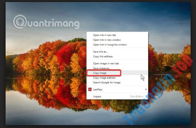 Toàn&nbsp;tập&nbsp;cách&nbsp;sử&nbsp;dụng&nbsp;Paint&nbsp;để&nbsp;chỉnh&nbsp;sửa&nbsp;ảnh&nbsp;trên&nbsp;Windows