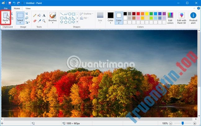 Toàn&nbsp;tập&nbsp;cách&nbsp;sử&nbsp;dụng&nbsp;Paint&nbsp;để&nbsp;chỉnh&nbsp;sửa&nbsp;ảnh&nbsp;trên&nbsp;Windows