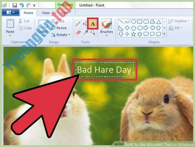 Toàn&nbsp;tập&nbsp;cách&nbsp;sử&nbsp;dụng&nbsp;Paint&nbsp;để&nbsp;chỉnh&nbsp;sửa&nbsp;ảnh&nbsp;trên&nbsp;Windows