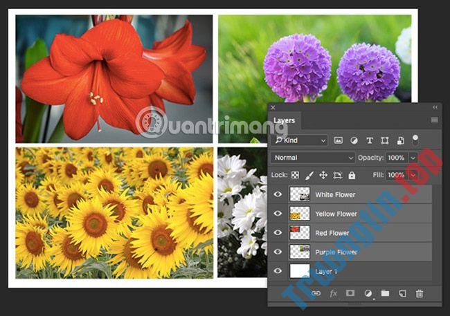 Cách&nbsp;áp&nbsp;dụng&nbsp;bộ&nbsp;lọc&nbsp;thông&nbsp;minh&nbsp;cho&nbsp;nhiều&nbsp;layer&nbsp;trong&nbsp;Photoshop