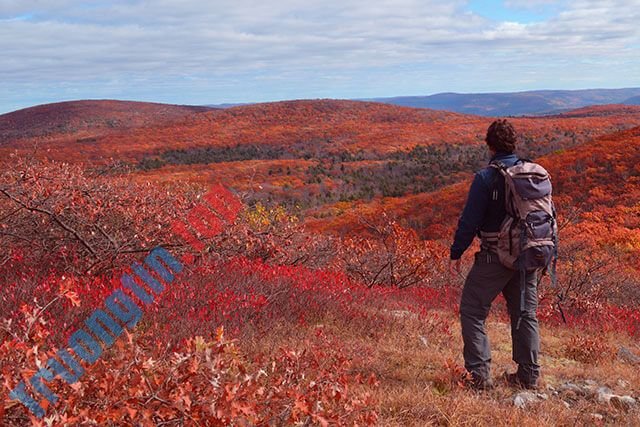 Hình&nbsp;nền&nbsp;phượt,&nbsp;hình&nbsp;nền&nbsp;du&nbsp;lịch&nbsp;bụi&nbsp;đẹp&nbsp;cho&nbsp;máy&nbsp;tính
