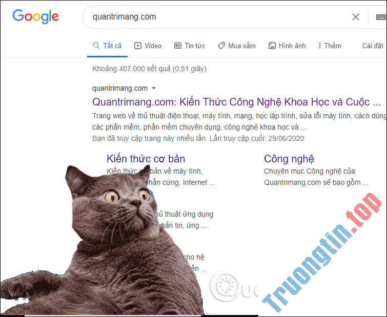 Cách&nbsp;mang&nbsp;mèo&nbsp;laser&nbsp;lên&nbsp;trình&nbsp;duyệt&nbsp;Chrome