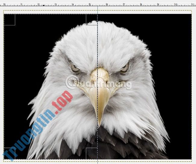 Cách&nbsp;tạo&nbsp;poster&nbsp;với&nbsp;hiệu&nbsp;ứng&nbsp;Text&nbsp;Portrait&nbsp;trong&nbsp;GIMP