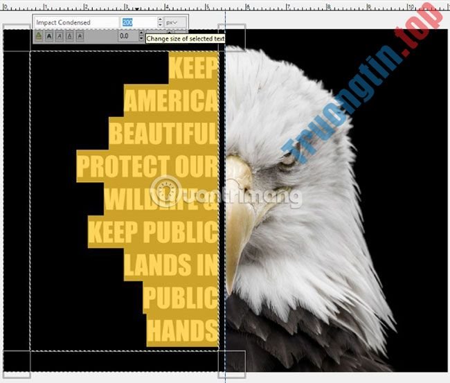Cách&nbsp;tạo&nbsp;poster&nbsp;với&nbsp;hiệu&nbsp;ứng&nbsp;Text&nbsp;Portrait&nbsp;trong&nbsp;GIMP
