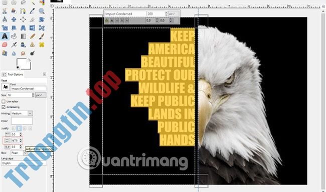 Cách&nbsp;tạo&nbsp;poster&nbsp;với&nbsp;hiệu&nbsp;ứng&nbsp;Text&nbsp;Portrait&nbsp;trong&nbsp;GIMP