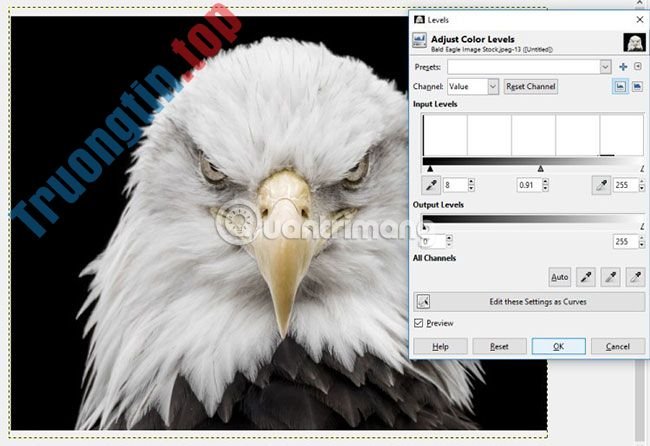 Cách&nbsp;tạo&nbsp;poster&nbsp;với&nbsp;hiệu&nbsp;ứng&nbsp;Text&nbsp;Portrait&nbsp;trong&nbsp;GIMP