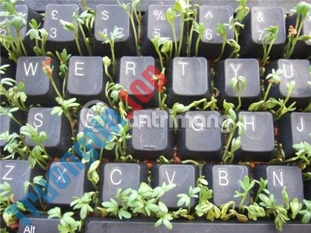 Dấu&nbsp;hiệu&nbsp;máy&nbsp;tính&nbsp;của&nbsp;bạn&nbsp;sắp&nbsp;“chết”&nbsp;và&nbsp;cách&nbsp;xử&nbsp;lí