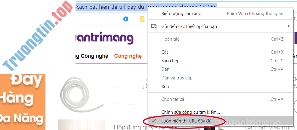 Cách bật hiển thị URL đầy đủ trong Google Chrome