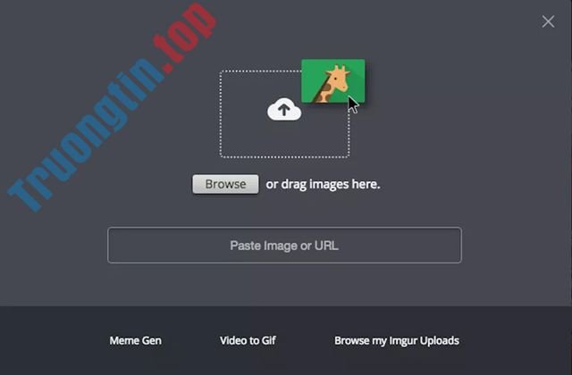 15&nbsp;trang&nbsp;web&nbsp;lưu&nbsp;trữ&nbsp;và&nbsp;chia&nbsp;sẻ&nbsp;hình&nbsp;ảnh&nbsp;tốt&nbsp;nhất&nbsp;2018