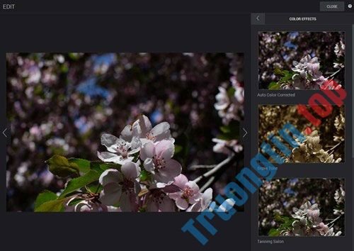 15&nbsp;trang&nbsp;web&nbsp;lưu&nbsp;trữ&nbsp;và&nbsp;chia&nbsp;sẻ&nbsp;hình&nbsp;ảnh&nbsp;tốt&nbsp;nhất&nbsp;2018