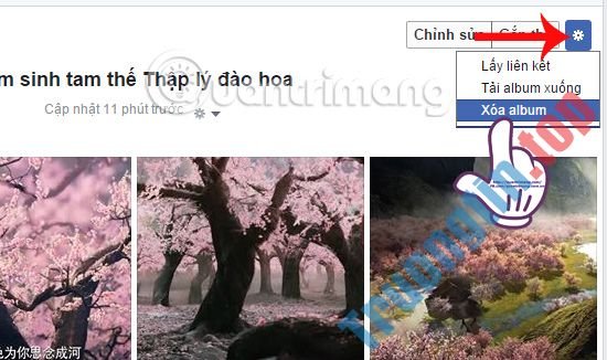 Hướng&nbsp;dẫn&nbsp;cách&nbsp;xóa&nbsp;ảnh&nbsp;trên&nbsp;Facebook