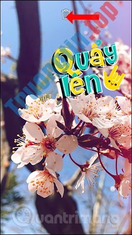 Cách&nbsp;đổi&nbsp;hình&nbsp;nền&nbsp;chat&nbsp;trên&nbsp;Zalo