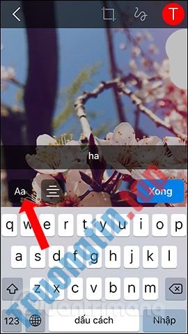 Cách&nbsp;đổi&nbsp;hình&nbsp;nền&nbsp;chat&nbsp;trên&nbsp;Zalo