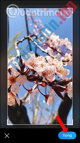 Cách&nbsp;đổi&nbsp;hình&nbsp;nền&nbsp;chat&nbsp;trên&nbsp;Zalo