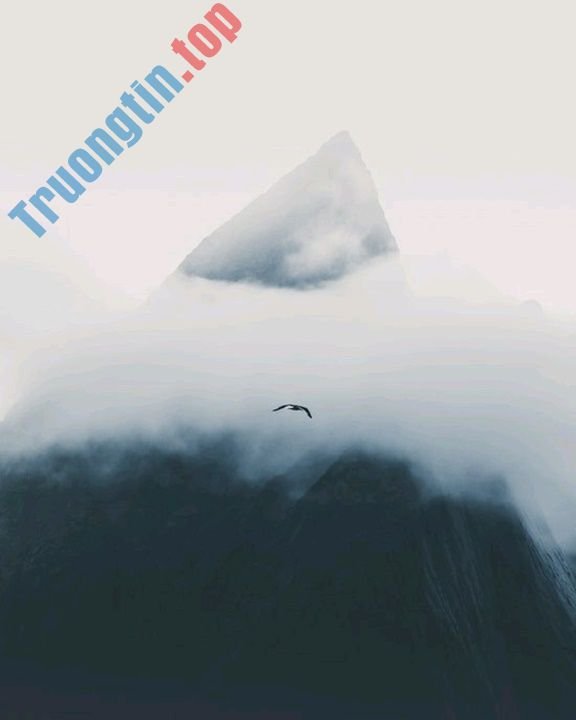 Mời&nbsp;tải&nbsp;WallPix,&nbsp;ứng&nbsp;dụng&nbsp;tải&nbsp;ảnh&nbsp;nền&nbsp;trị&nbsp;giá&nbsp;162.000VNĐ,&nbsp;đang&nbsp;được&nbsp;miễn&nbsp;phí