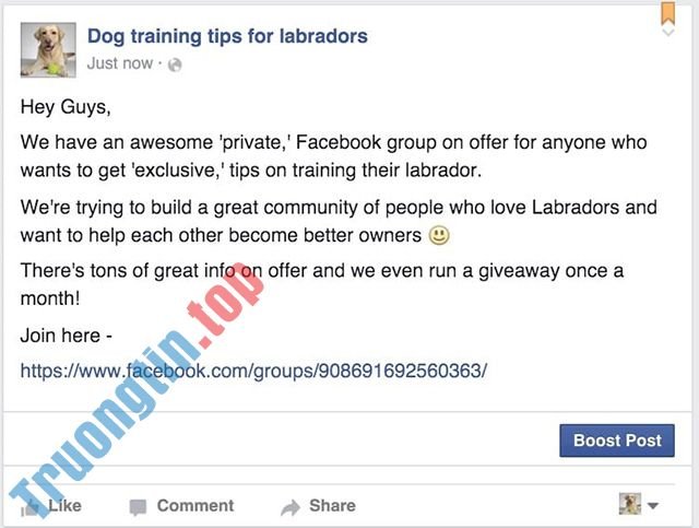 Facebook&nbsp;group&nbsp;và&nbsp;Facebook&nbsp;page&nbsp;trong&nbsp;marketing&nbsp;online