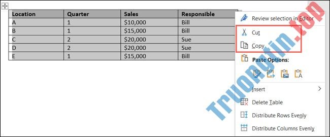 Cách&nbsp;chuyển&nbsp;đổi&nbsp;bảng&nbsp;thành&nbsp;hình&nbsp;ảnh&nbsp;trong&nbsp;Microsoft&nbsp;Word