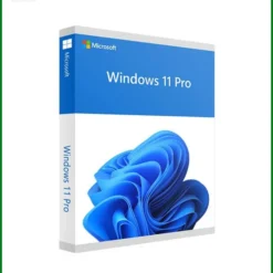 Windows 11 Pro ESD 1 PC Bản Quyền - Cài Đặt Nhanh TPHCM Giá Rẻ