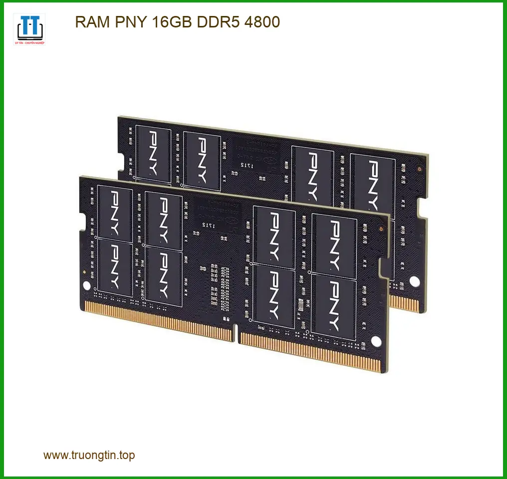 Ram Laptop PNY 16GB DDR5 4800